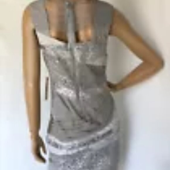 NWT Alice + Olivia Dress Silver Champagne Sequin Mesh Cocktail Sleeveless Size 2 - Picture 10 of 11